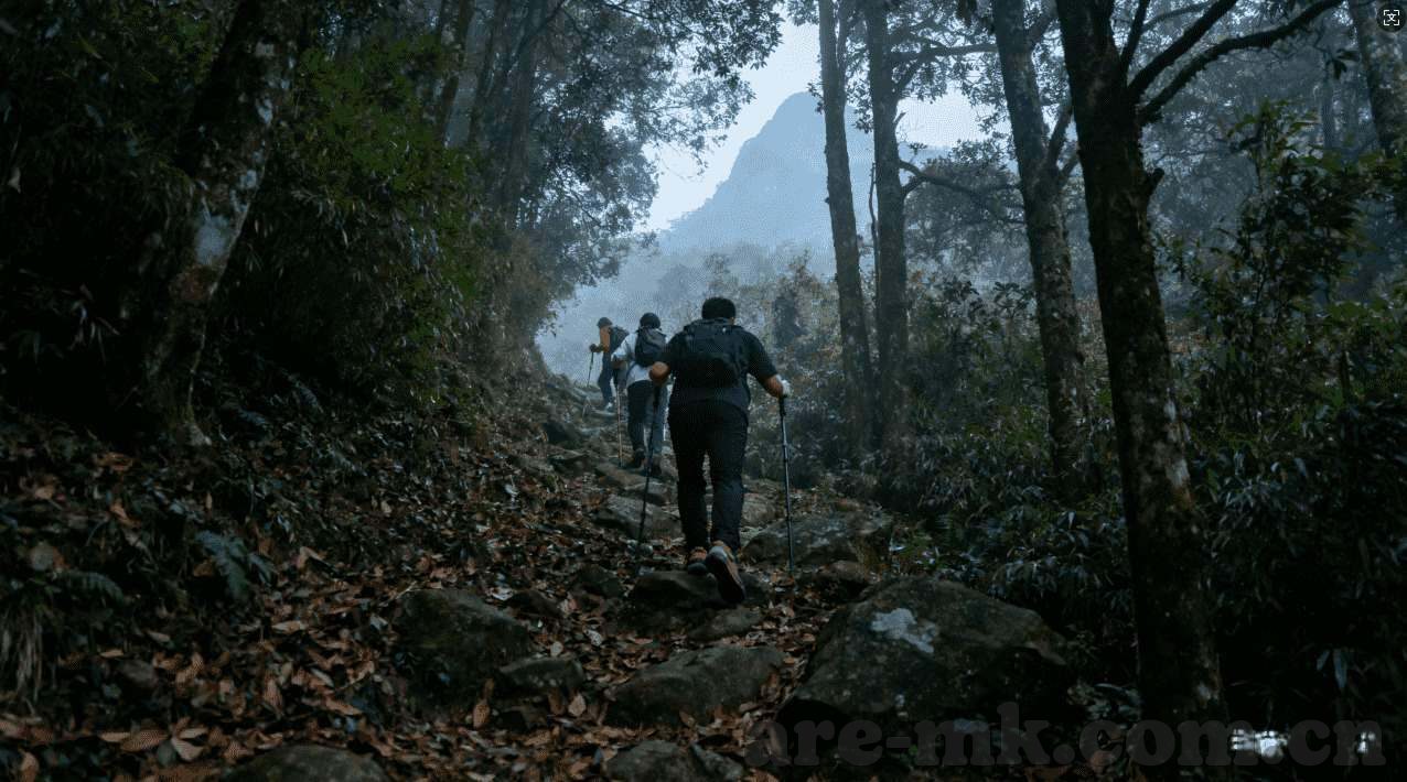 君临天下九游版下载-君临天下九游版下载，掌握碎片时间，下一个霸主之路